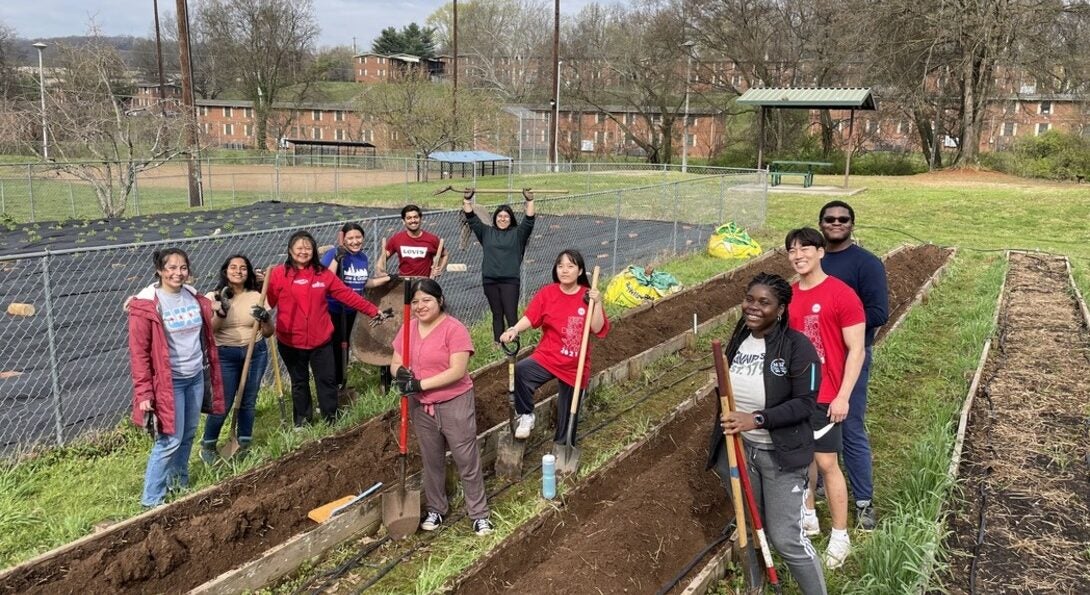 student volunteers preparing soil for potatoes.